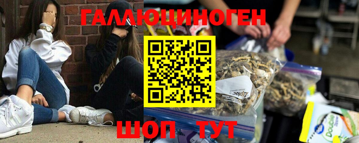Галлюциногенные грибы ЛСД Губкин